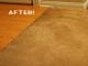 Carpet Cleaner 25 Ltr
